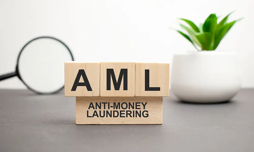 Best AML Training Course Online